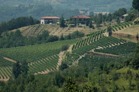 Presentazione