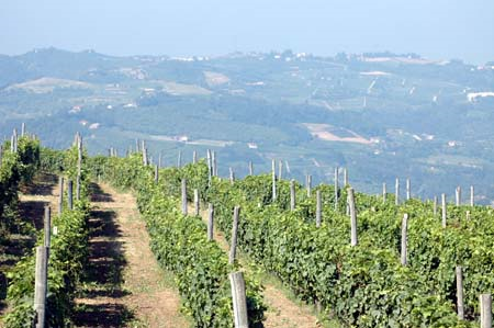 Presentazione